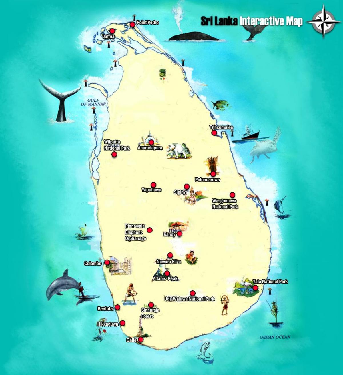 adam gailurra mapa Sri Lanka